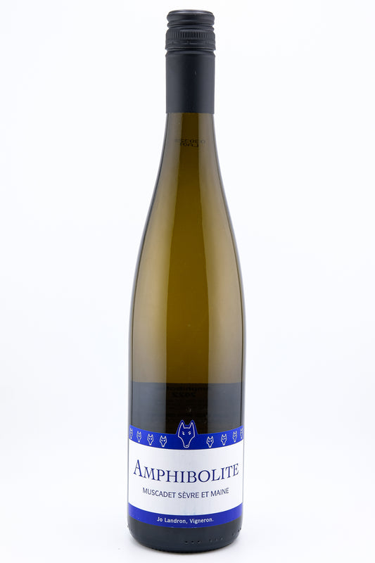 Amphibolite Muscadet